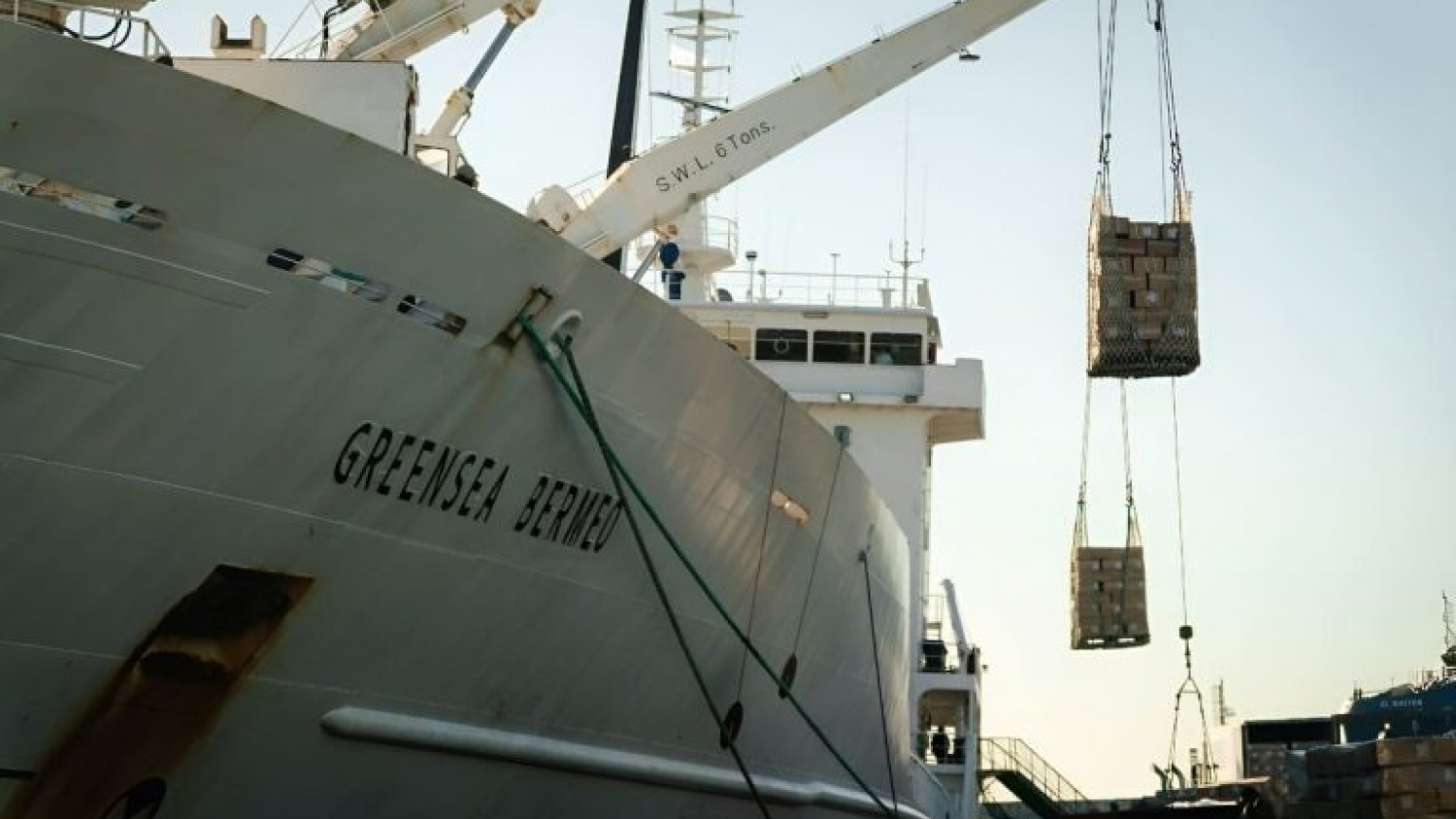 Mar del Plata embarca más de 4.200 toneladas de pescado con destino a Camerún