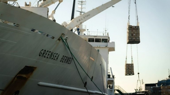 Mar del Plata embarca más de 4.200 toneladas de pescado con destino a Camerún