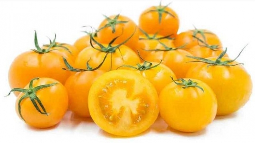 En la india desarrollan tomates amarillos a partir de edición genómica