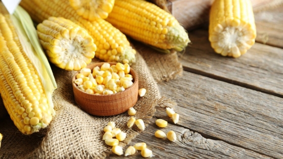 El valor agregado al maíz: Impulsando la diversificación y la economía