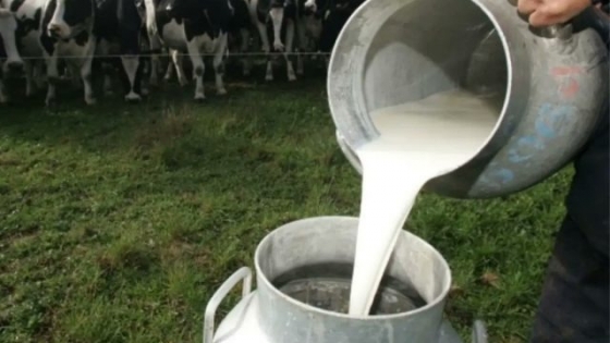 Lácteos: prorrogaron por un año la suspensión de derechos de exportación