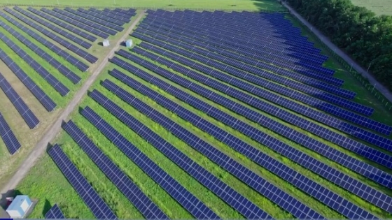 Alquiler de campos para energía solar impulsa el mercado agrícola en EE.UU.
