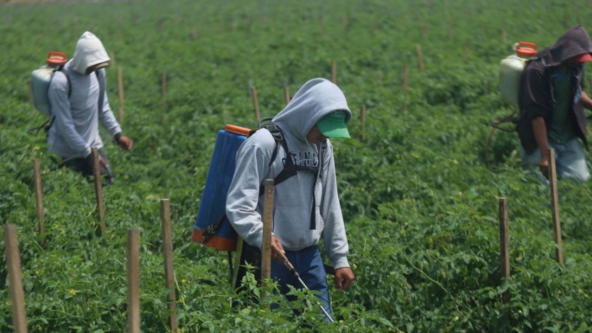 México prohíbe el glifosato para frenar sus efectos nocivos en la salud