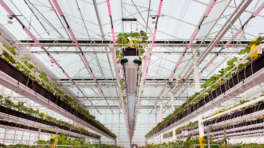 Investigadores holandeses construyen un invernadero de prueba libre de emisiones