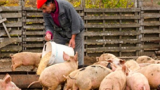 Basterra se reunió con productores del sector porcino
