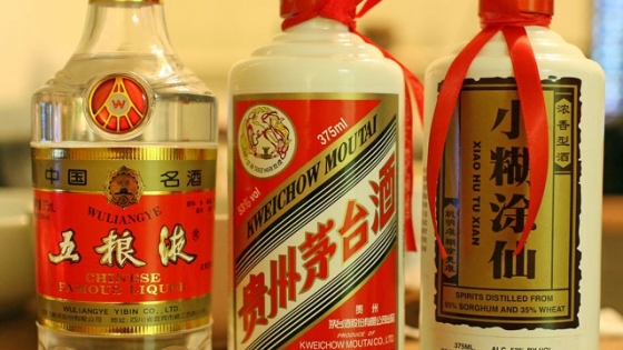 El sorgo argentino gana protagonismo global y China se consolida como su principal destino