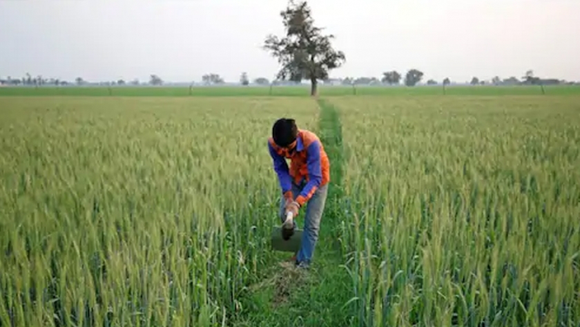 Tecnologías innovadoras que pueden hacer que la agricultura india sea resistente al cambio climático