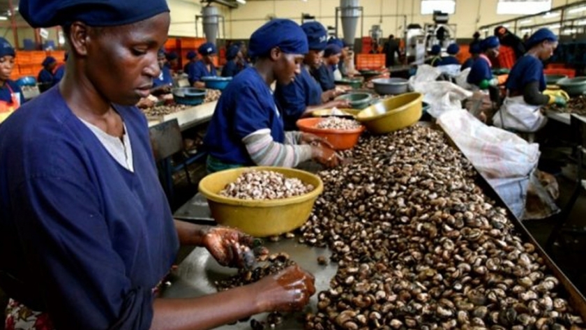 Las asociaciones público-privadas son clave para los productores de cacao de África
