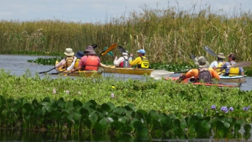 Los Esteros del Iberá fueron elegidos entre los destinos más apasionantes del mundo para visitar en 2024