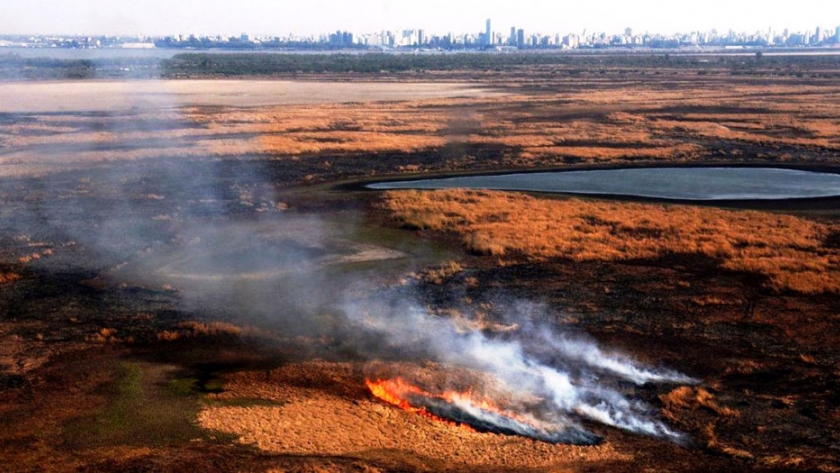 La provincia coordina con Nación un plan de monitoreo para prevenir incendios en el Delta