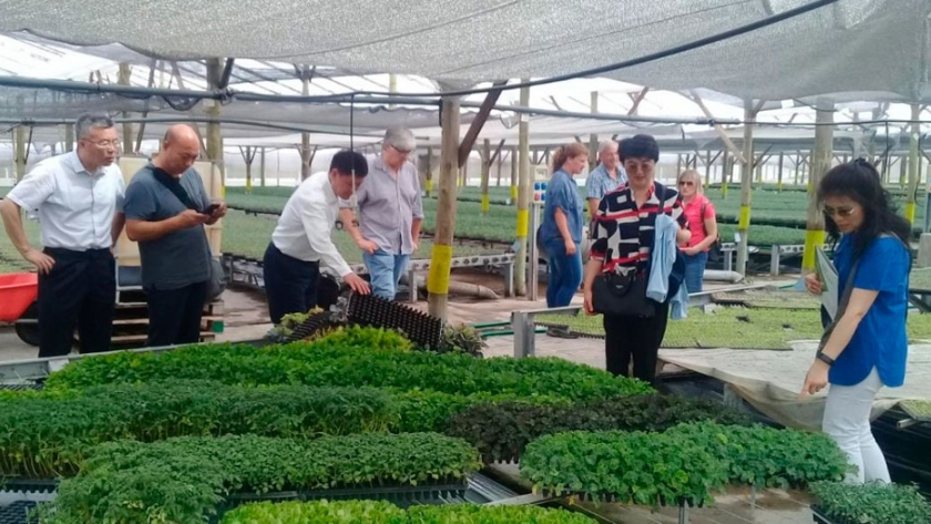 China interesada en el trabajo sobre cultivo sin suelo de INTA