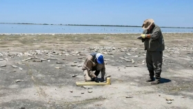 El Ministerio de Ambiente y Cambio Climático analizó la mortalidad de peces en la Laguna del Plata en Vera y Pintado