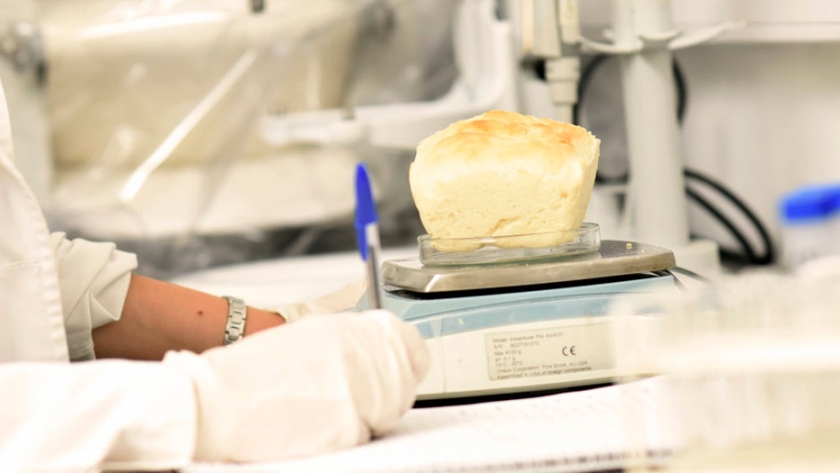 La UNLP elabora panes funcionales con más proteínas para equilibrar la dieta alimentaria 