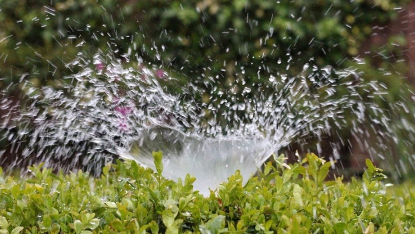 El Tribunal de Cuentas audita el uso sostenible del agua en agricultura