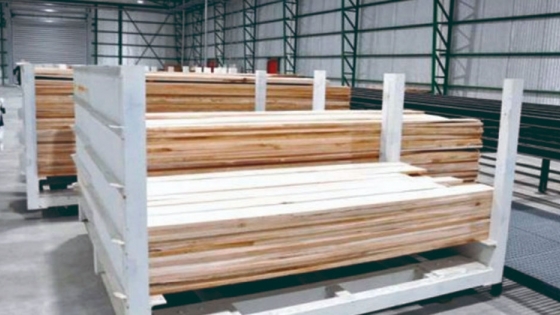 Desde Tolhuin a Punta Arena, después de 20 años vuelven a exportar madera de lenga aserraderos argentinos a Chile