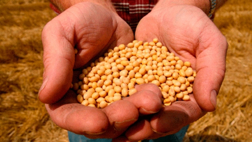 ¿Cómo es la presión tributaria sobre el campo?