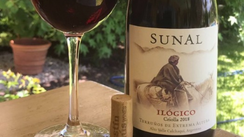 ¿Ya probaste los vinos elaborados con uvas criollas? INTA y CREA trabajan para valorizar el patrimonio vitivinícola argentino