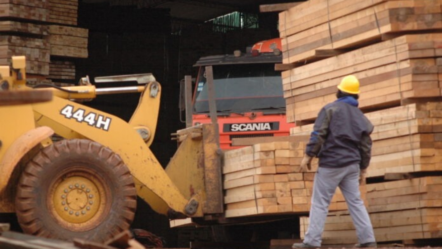 La madera arranca 2026 con demanda global débil y apuesta estratégica a India