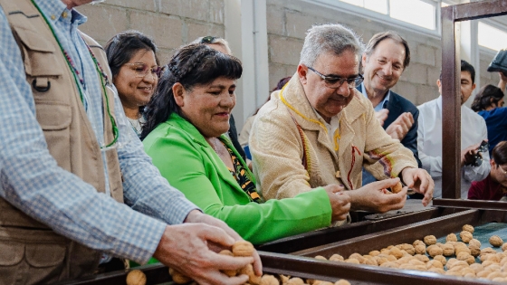 Impulso a los productores: la Planta Procesadora de Nuez en San José ya es una realidad