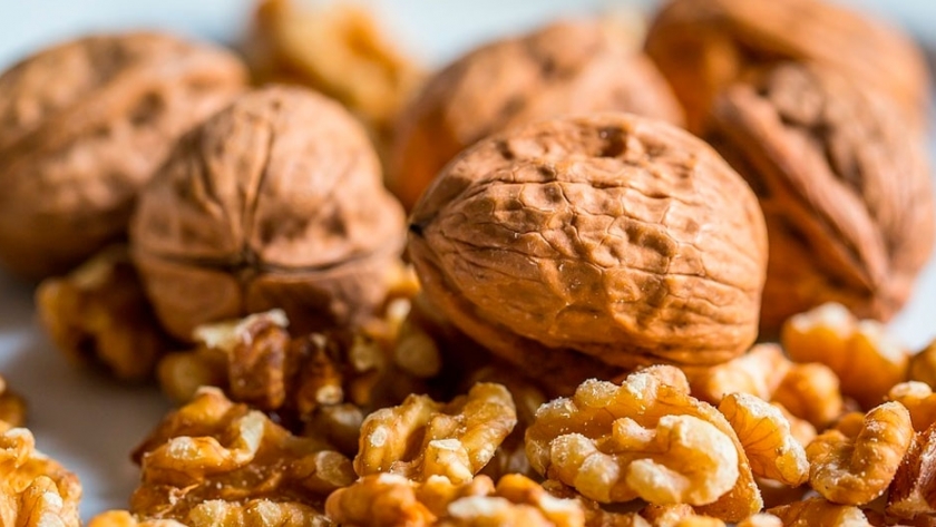 Cosechan nueces con innovadora maquinaria en Río Negro