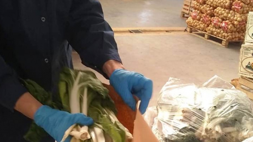 En el 2020, Chubut avanzó en políticas de sanidad vegetal junto a productores e instituciones
