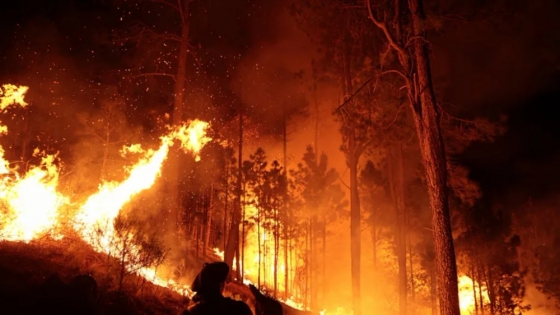 Córdoba: contención de incendios y declaración de emergencia ambiental