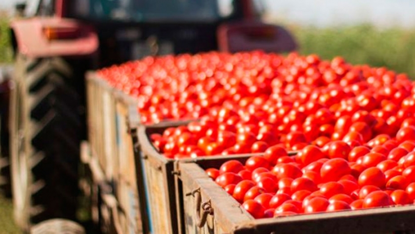 El proteccionismo podría generar crisis alimentaria