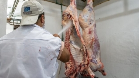 El frigorífico de Justo Daract, una opción de faena para productores bovinos y porcinos locales