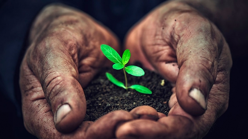Santa Fe: se crea el puesto de corresponsable agronómico