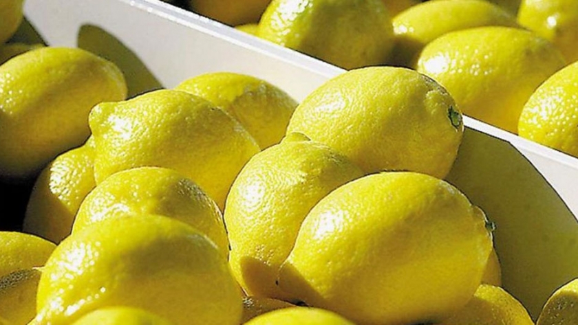 Con la llegada del limón tucumano a China, se abren nuevos horizontes
