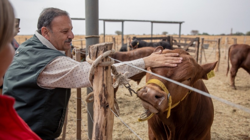 La Rioja tendrá su Primer Remate de Cabañas con importantes beneficios para productores ganaderos