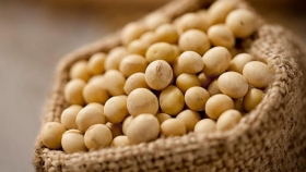 Fuerte baja de la soja en Rosario: perdió $15.000 por tonelada por el dólar y la cosecha