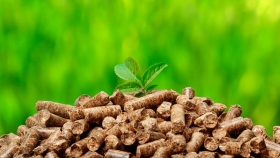 Biomasa: una fuente de energía renovable competitiva y económica