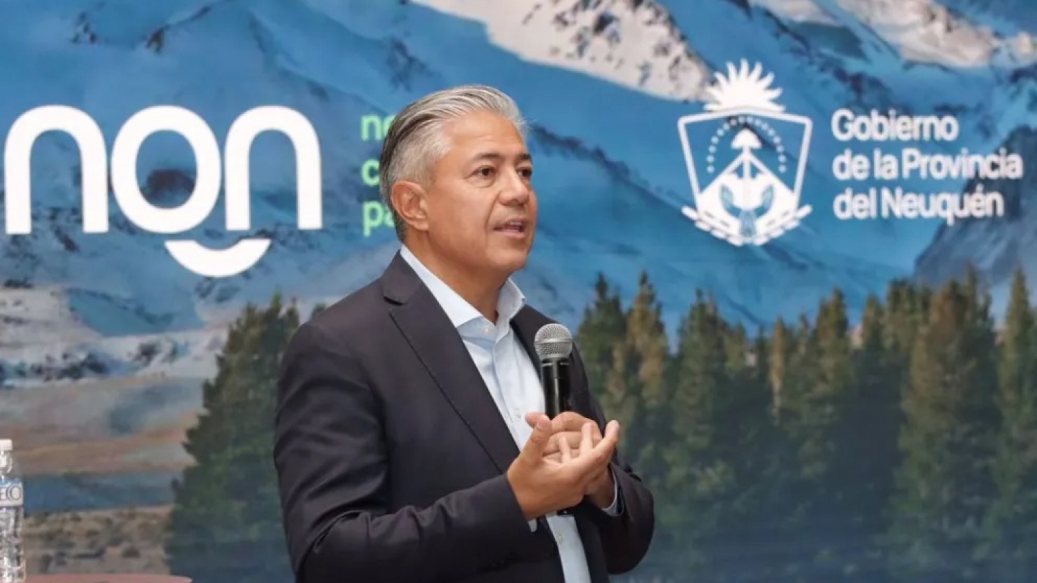 Figueroa: “El RIGI nos hace competitivos frente a Estados Unidos”