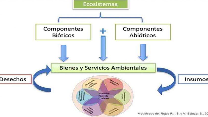 Una herramienta para estimar el grado de afectación ambiental de los desarrollos piscícolas intermedios