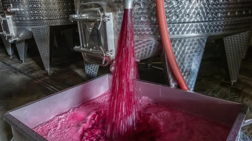 Vino a granel: el 75% de las exportaciones son de Malbec