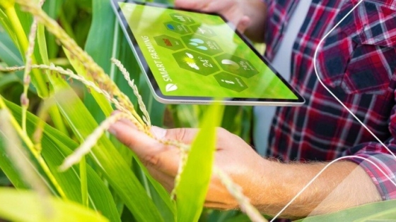 Beca en Tecnología digital para monitorear suelos y plantas con relevancia para la seguridad alimentaria y la nutrición