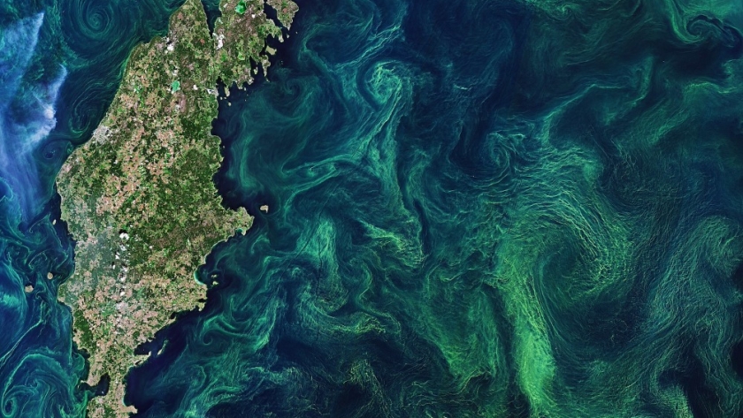 Transforming the Baltic and North Seas with algae-based solutions