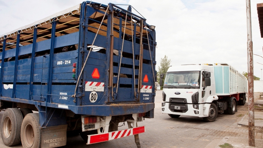 Se facilitan las gestiones para el transporte de animales vivos