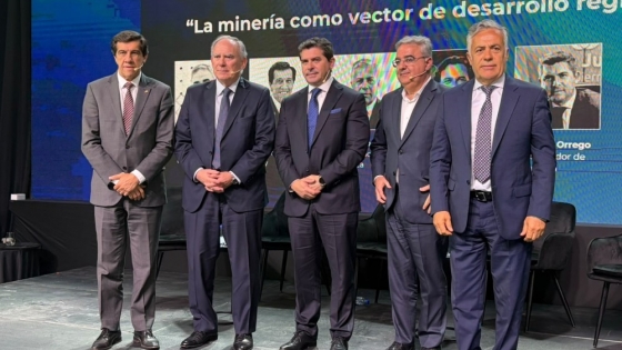 Marcelo Orrego destacó el potencial minero de San Juan ante el RIGI