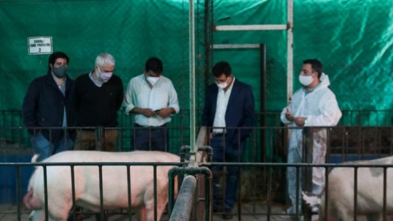 Tucumán impulsa la actividad porcina en La Cocha