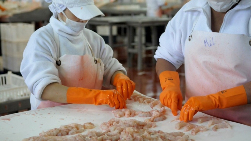 Próximos a la temporada de langostinos, ajustan el protocolo sanitario