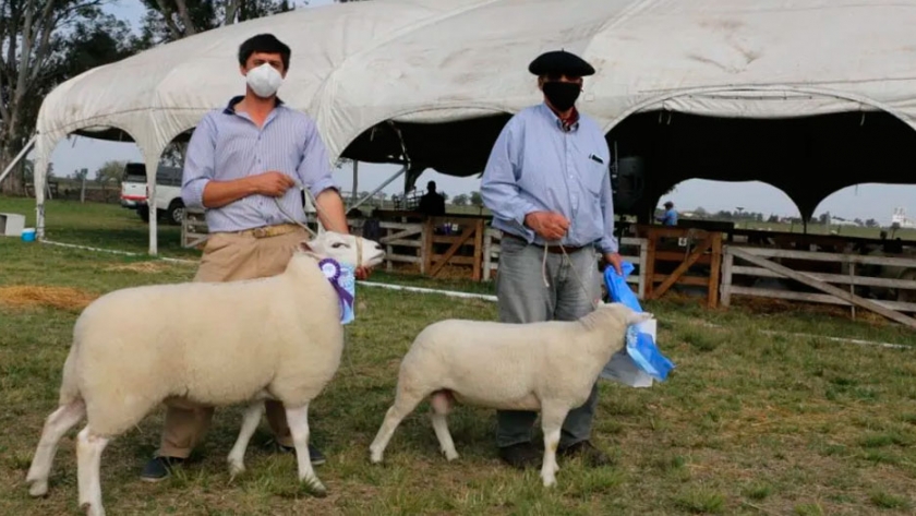 La Expo Ovina de Urdinarrain se hará como un remate ganadero