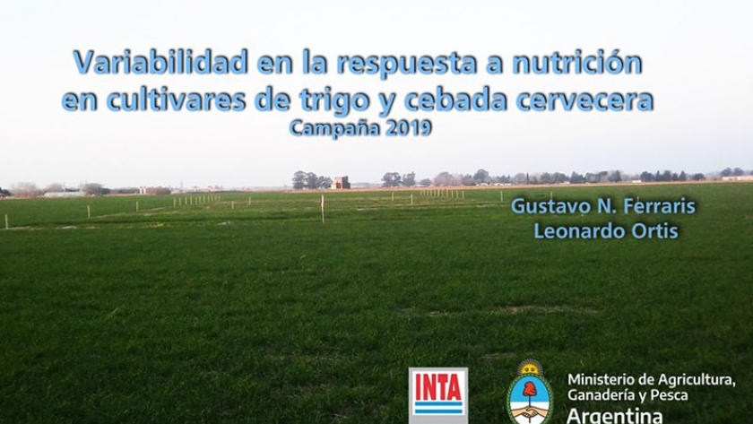 Variabilidad en la respuesta a nutrición en cultivares de trigo y cebada cervecera