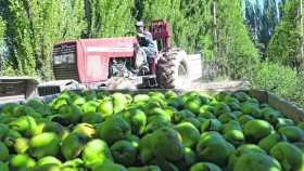 Fruticultura: expectativa empresarial por la recuperación de la exportación al mercado ruso