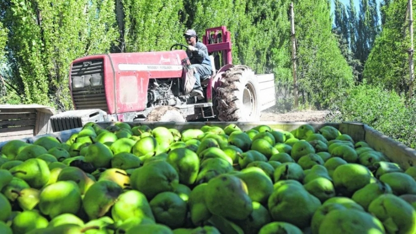Fruticultura: expectativa empresarial por la recuperación de la exportación al mercado ruso