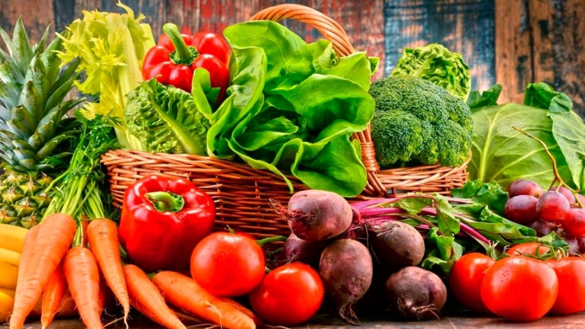 Verduras sin Patio e tierra - Huertas Modulares