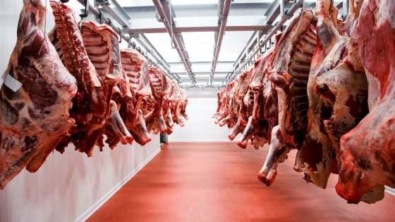 Por exportaciones de carne vacuna ingresaron al país más de US$1.700 millones en el primer semestre