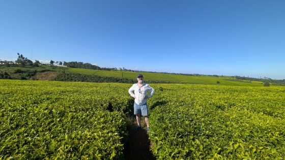 How Open-Source Tech Can Transform Africa’s Agri-SME Sector