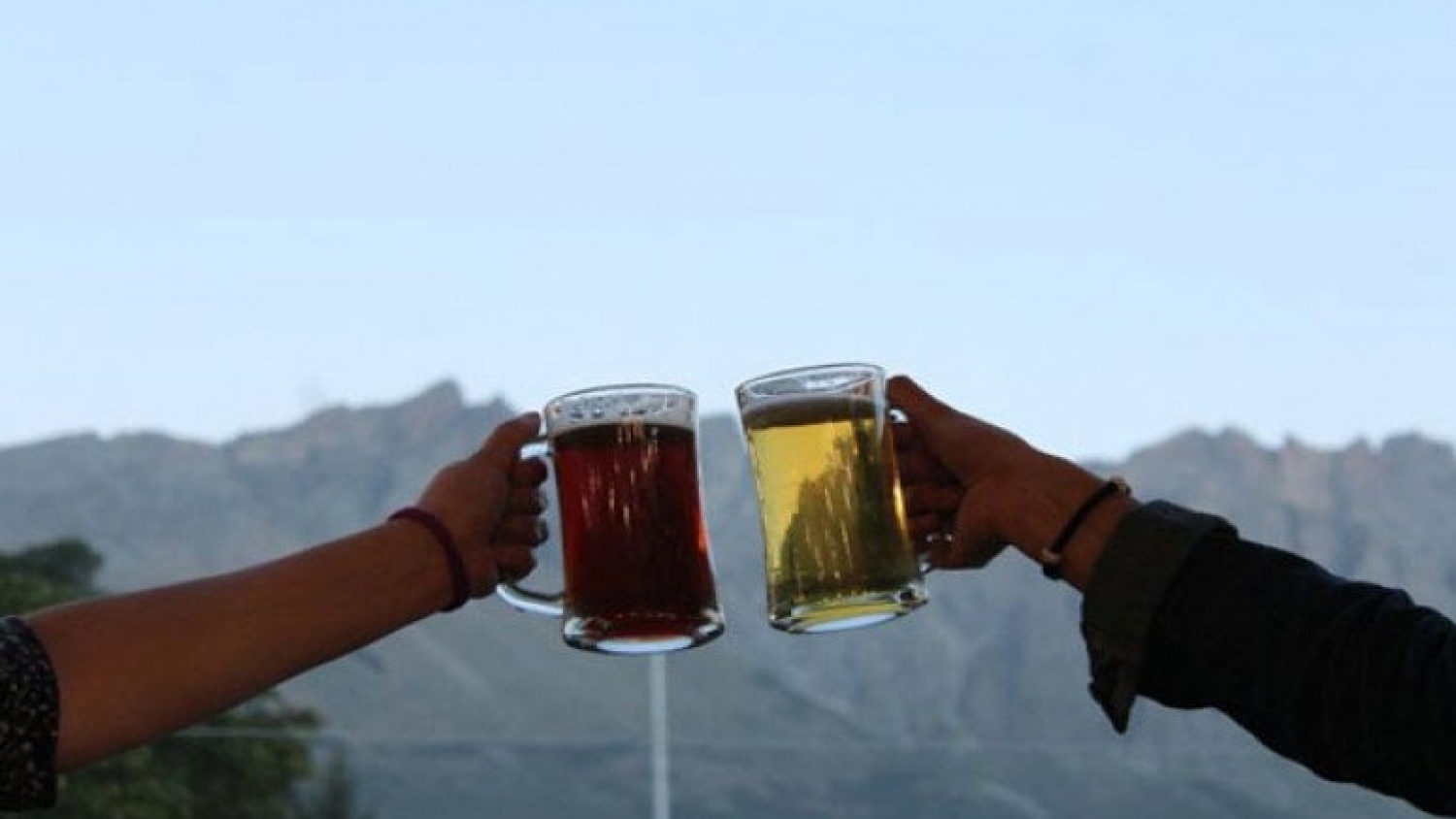 Derrumbe del consumo golpea a la cerveza artesanal en El Bolsón en plena cosecha de lúpulo